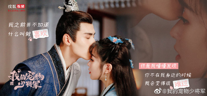 Be My Cat / My Young Pet General China Web Drama